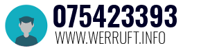 075423393