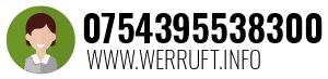 0754395538300