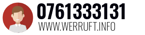 0761333131