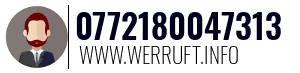 0772180047313