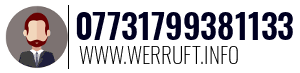 07731799381133