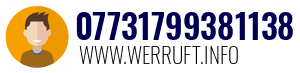 07731799381138