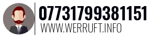 07731799381151