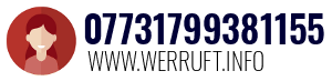 07731799381155