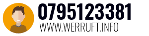 0795123381