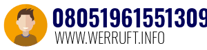 08051961551309