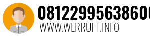 08122995638600