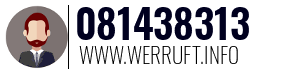 081438313