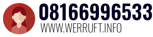 08166996533
