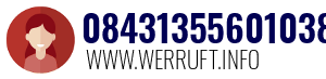 08431355601038