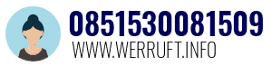 0851530081509