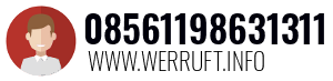 08561198631311
