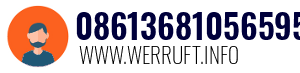 08613681056595