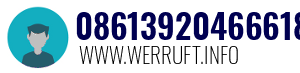 08613920466618