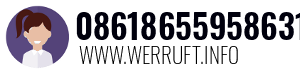 08618655958631