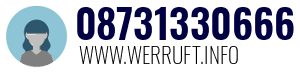 08731330666