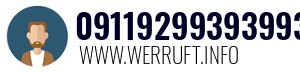 09119299393993