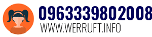 09633398020088