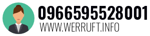 0966595528001