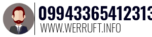 09943365412313