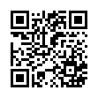 QR code 004945428530