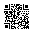 QR code 021198070133