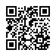 QR code 029211095311