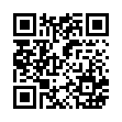 Nummer QR code 030308290