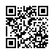 QR code 03042023337
