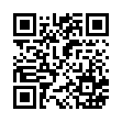 QR code 03067817644
