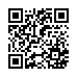 QR code 038851330150
