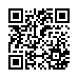 QR code 040211076322
