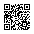 QR code 040299963136