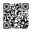 QR code 041615100338