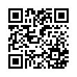 QR code 04313131066750