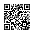 Nummer QR code 0532