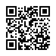 Nummer QR code 06313033931