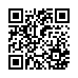 QR code 491771781018