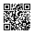 QR code 4924519153435