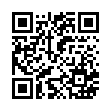 QR code 493032293160