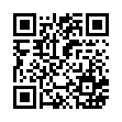 QR code 493078783118